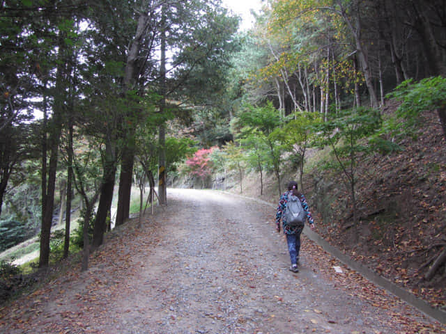 韓國釜山 天魔山、天魔山雕像公園登山路