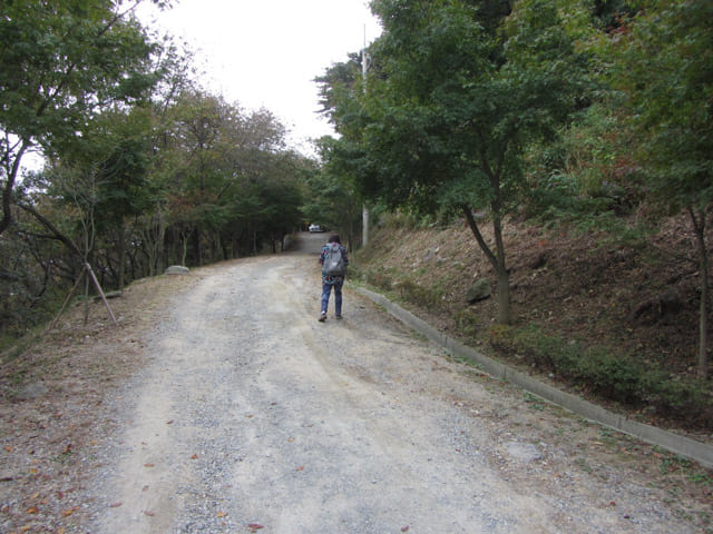 韓國釜山 天魔山、天魔山雕像公園登山路