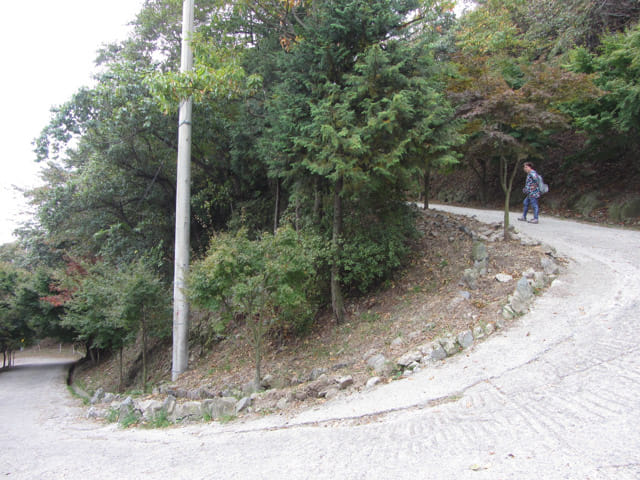 韓國釜山 天魔山、天魔山雕像公園登山路