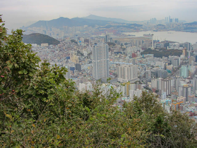 韓國釜山 天魔山展望台 俯瞰釜山港