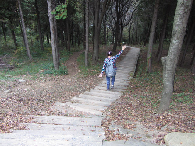 韓國釜山 天魔山山頂 往 天馬山路 (천마산로) 山路