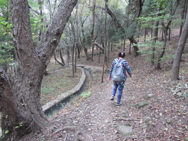 韓國釜山 天魔山山頂 往 天馬山路 (천마산로) 山路