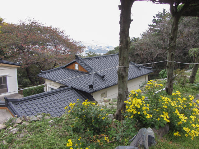 韓國釜山 天魔山中的 大院寺 (대원사 Daewonsa Temple)