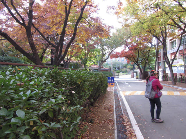 韓國大邱天主教大學(賈斯廷校區) (대구가톨릭대학교 유스티노캠퍼스) 秋天漂亮紅葉