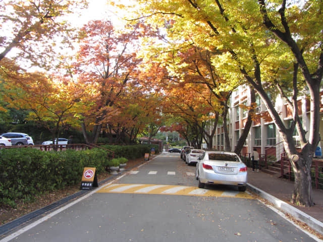 韓國大邱天主教大學(賈斯廷校區) (대구가톨릭대학교 유스티노캠퍼스) 秋天漂亮紅葉