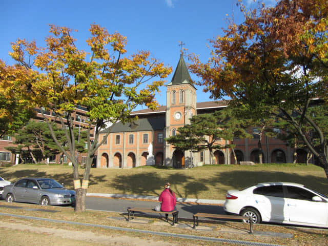 韓國大邱天主教大學(賈斯廷校區) (대구가톨릭대학교 유스티노캠퍼스) 秋天漂亮紅葉