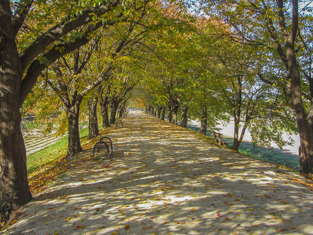 韓國安東河回村 河堤漂亮風光