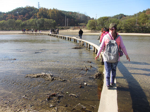 韓國榮州 水島村獨木橋