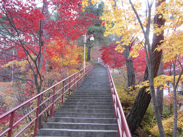 韓國丹陽救仁寺 秋天紅黃葉景色