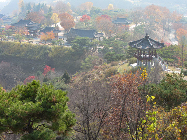 韓國堤川 清風文化財團地