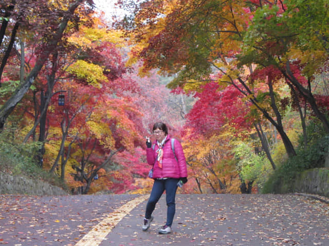韓國首爾 南山公園紅葉