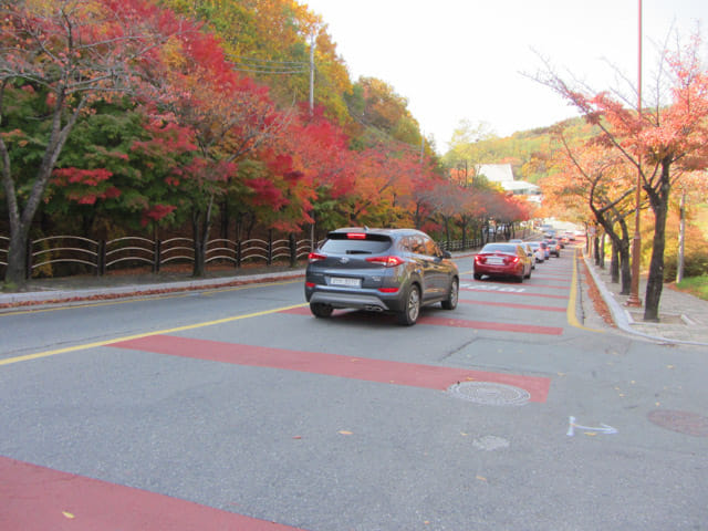 韓國大邱 八公山 秋天紅葉景色