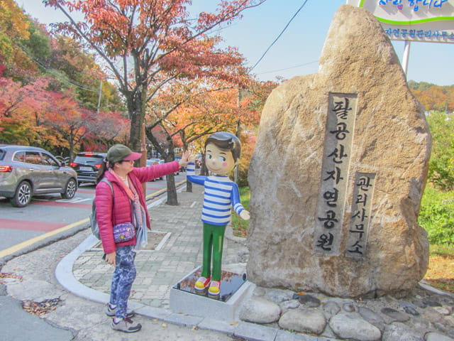 韓國大邱 八公山 秋天紅葉景色