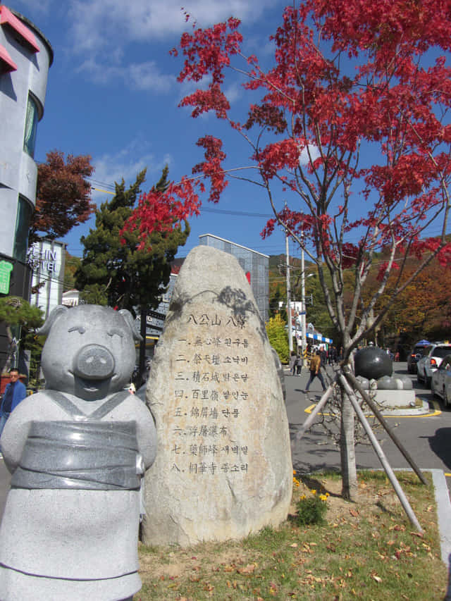 韓國大邱 八公山風景區市中心 往纜車站陡斜馬路