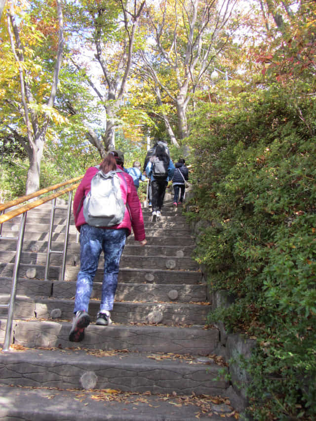 韓國大邱 八公山 步行往山坡上的纜車站