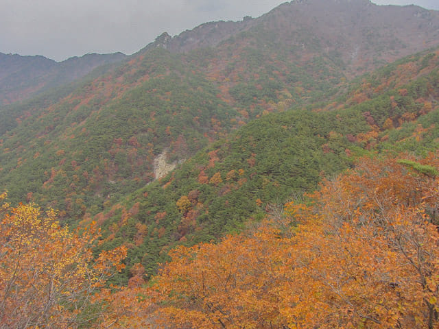 韓國大邱 八公山 秋天紅葉景色