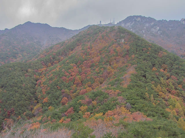 韓國大邱 八公山 秋天紅葉景色