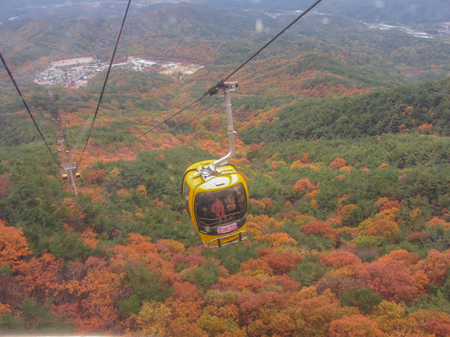 韓國大邱 八公山乘纜車看秋天紅楓葉景色