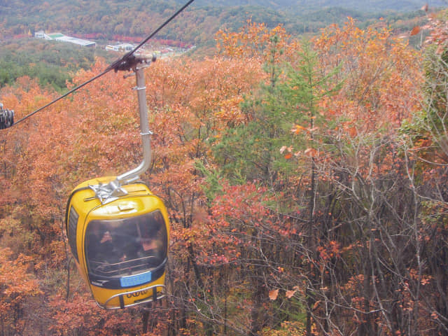 韓國大邱 八公山乘纜車看秋天紅楓葉景色