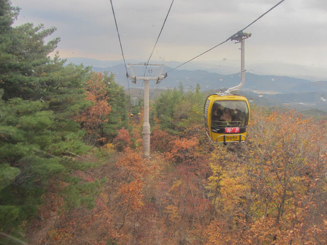 韓國大邱 八公山乘纜車看秋天紅楓葉景色