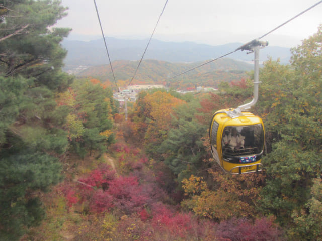 韓國大邱 八公山乘纜車看秋天紅楓葉景色