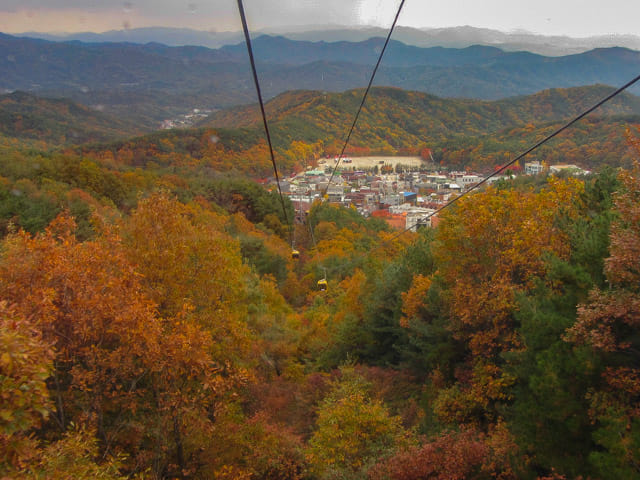 韓國大邱 八公山秋天紅楓葉景色