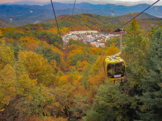 韓國大邱 八公山秋天紅楓葉景色