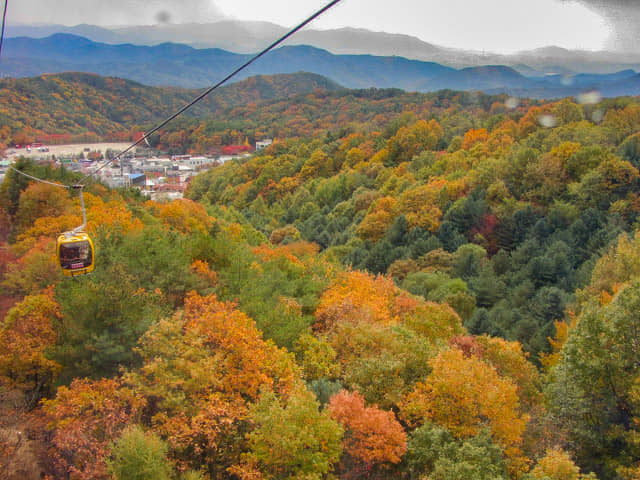 韓國大邱 八公山秋天紅楓葉景色