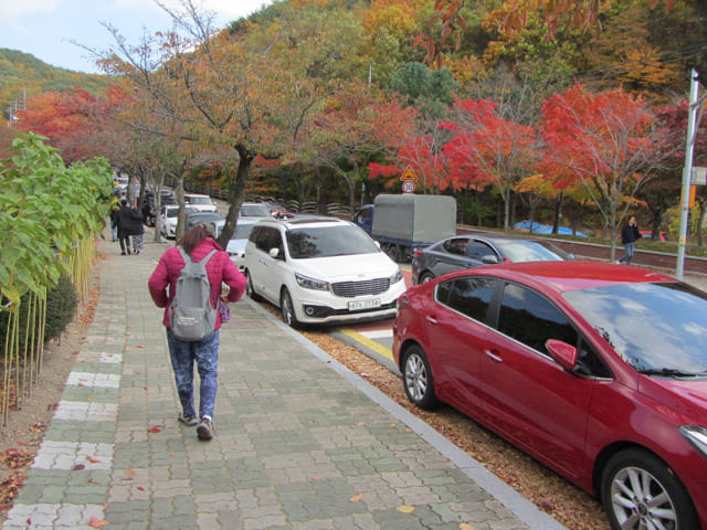 韓國大邱八公山 紅楓葉大道