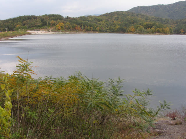 韓國大邱鳳舞公園 (봉무공원) 丹山池秋天紅葉