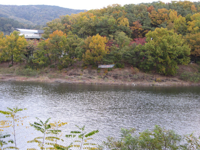 韓國大邱鳳舞公園 (봉무공원) 丹山池秋天紅葉