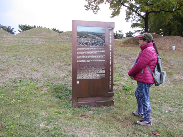 韓國大邱不老洞古墳群 (불로동고분공원 Bullo-dong Ancient Tomb Park) 