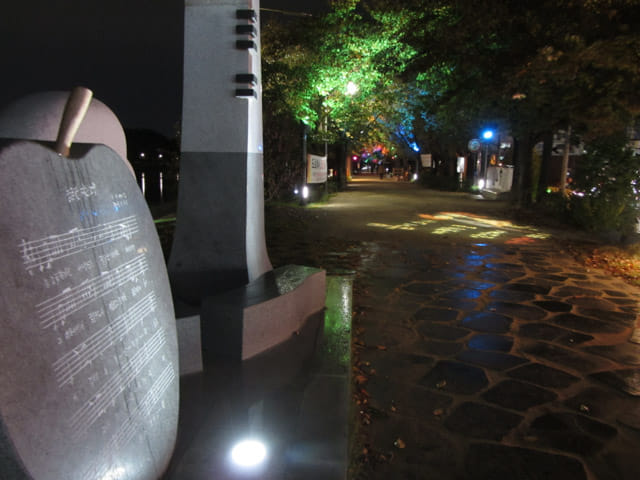 韓國大邱 峨洋鐵橋 琴湖江畔公園 夜色