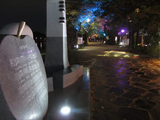 韓國大邱 峨洋鐵橋 琴湖江畔公園 夜色