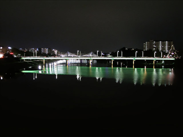 韓國大邱 峨洋橋 夜色