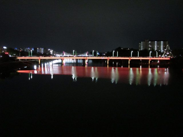 韓國大邱 峨洋橋 夜色