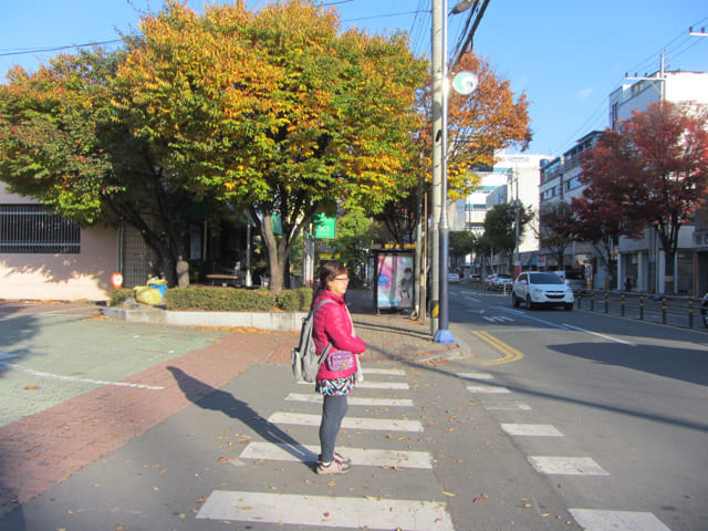 韓國慶山街道