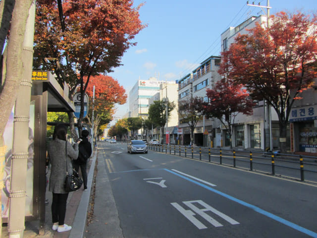 韓國慶山往盤谷池 서부1동주민센터(경산역) 巴士站