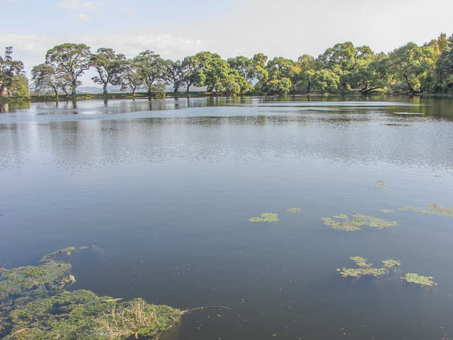 盤谷池 秀麗風景