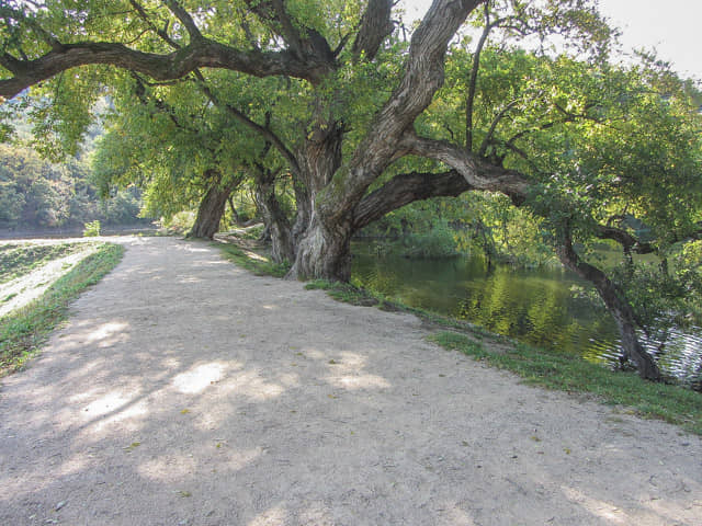 盤谷池 秀麗風景