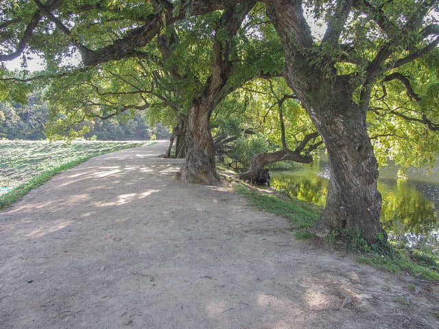 盤谷池 秀麗風景