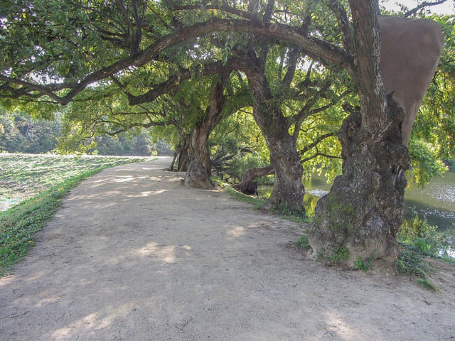 盤谷池 秀麗風景