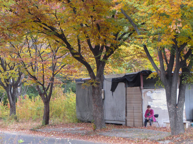 韓國慶山盤谷池附近漂亮紅葉