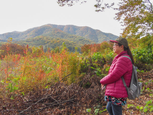 韓國慶山上大溫泉酒店漂亮紅黃葉