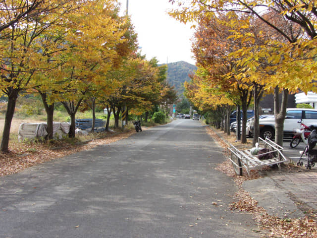 慶山上大溫泉酒店紅葉