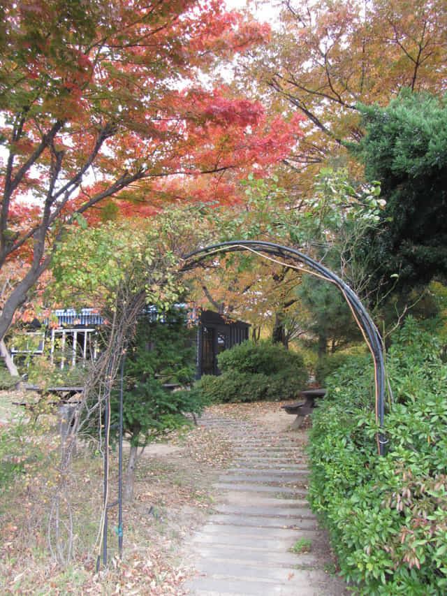 慶山上大溫泉酒店紅葉