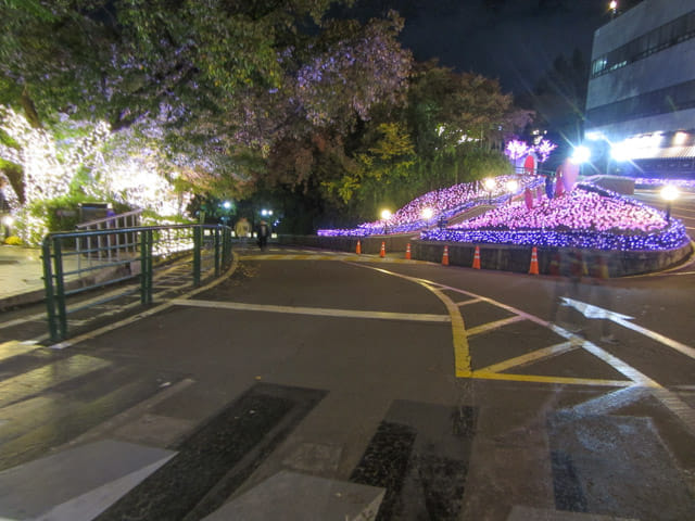 韓國大邱市 大邱塔 燈火璀璨夜色