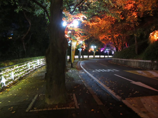 韓國大邱市 大邱塔 燈火璀璨夜色