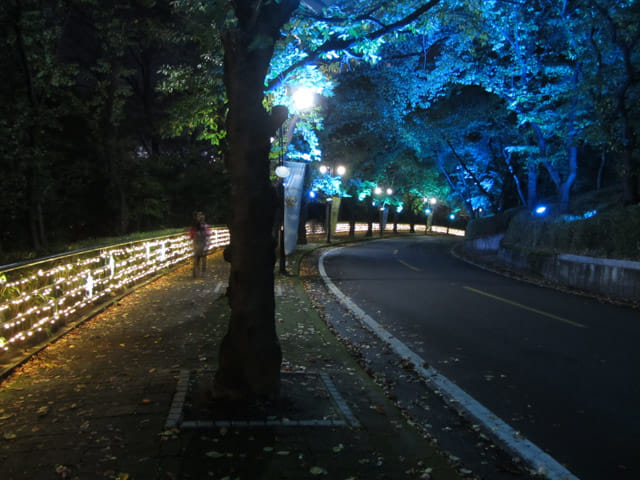 韓國大邱市 大邱塔 燈火璀璨夜色