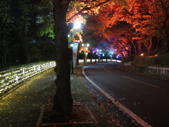 韓國大邱市 大邱塔 燈火璀璨夜色